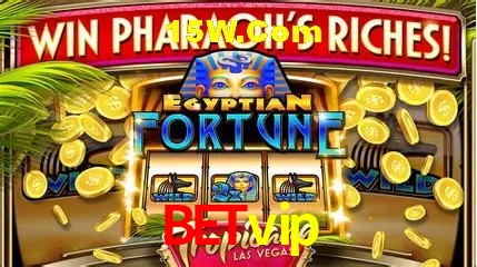 Avaliações dos Jogadores Betvip